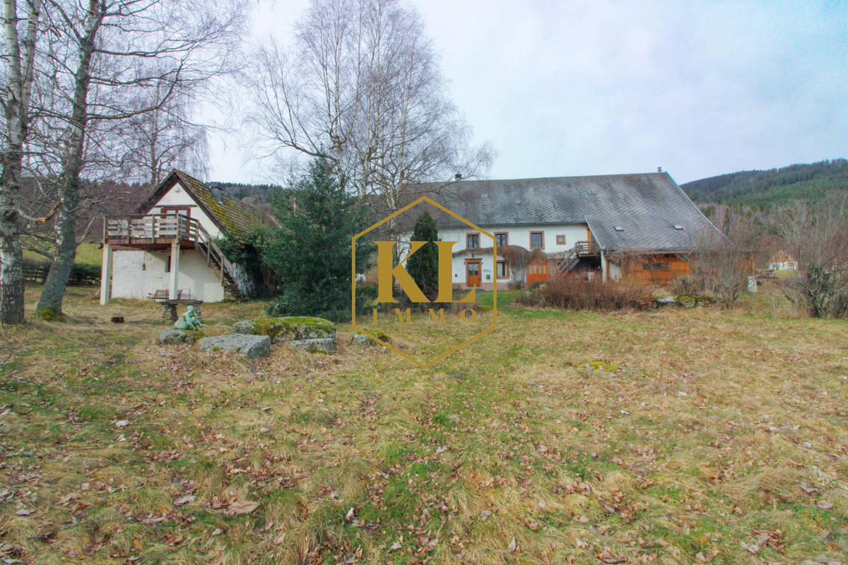 ensemble immobilier Orbey chez KL immo à Colmar - Maison à ORBEY