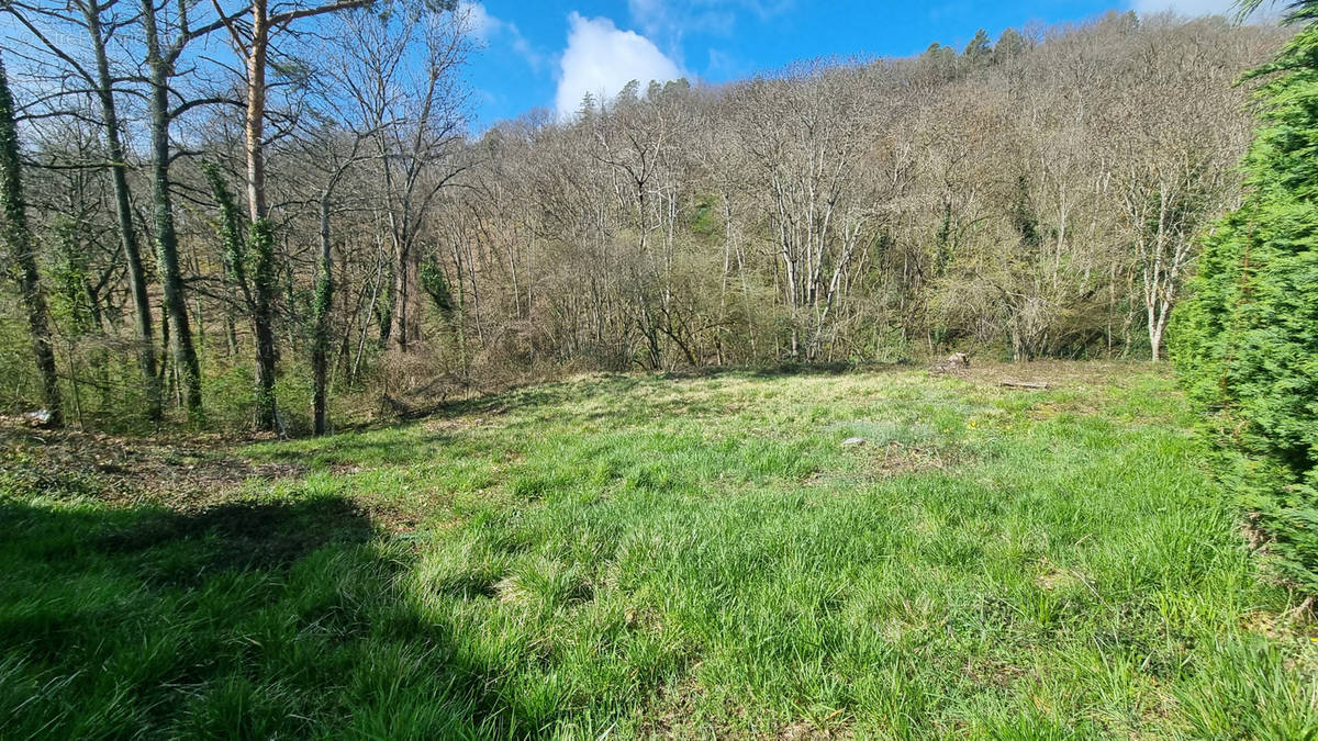 Terrain à CHATELGUYON