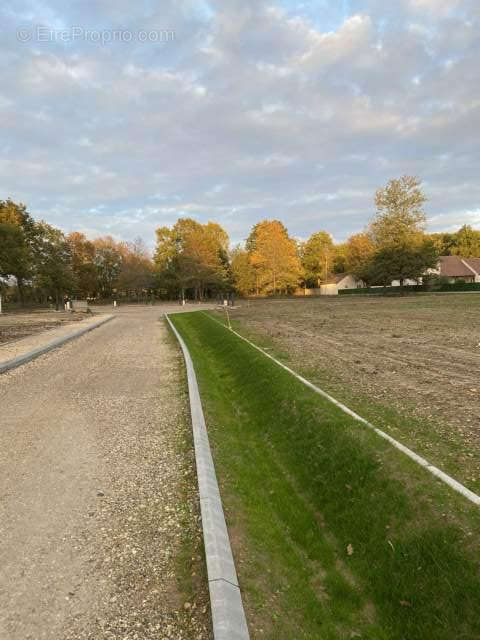 Terrain à BRAY-EN-VAL