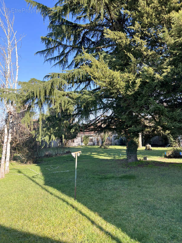 Terrain à SULLY-SUR-LOIRE