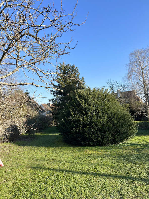 Terrain à SULLY-SUR-LOIRE