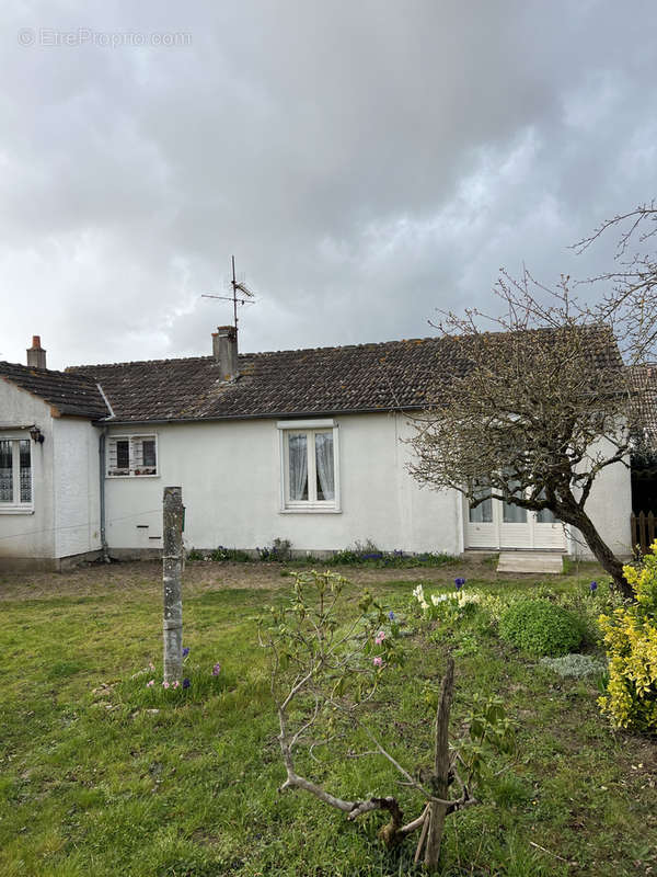 Maison à SAINT-BENOIT-SUR-LOIRE