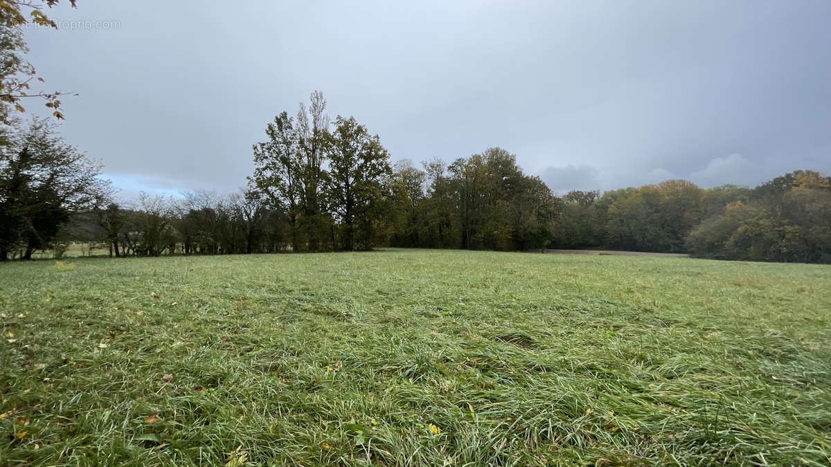 Terrain à AUTOUILLET