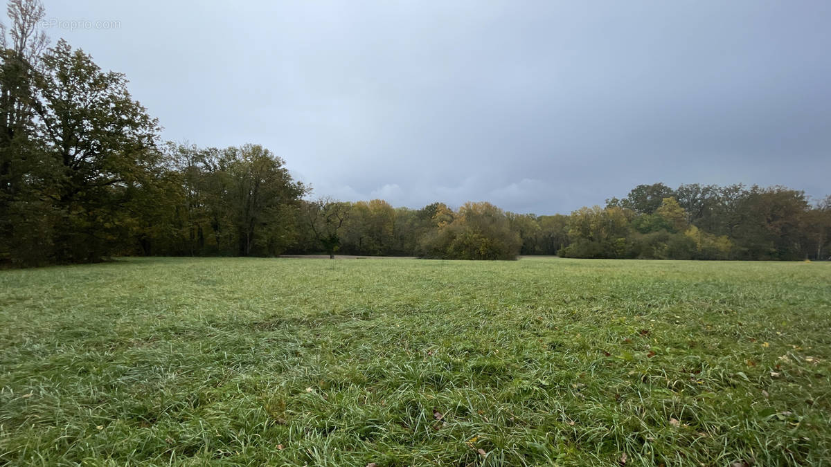 Terrain à AUTOUILLET