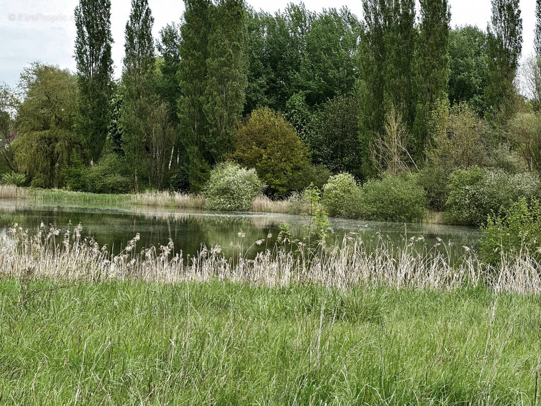 Terrain à BREUIL