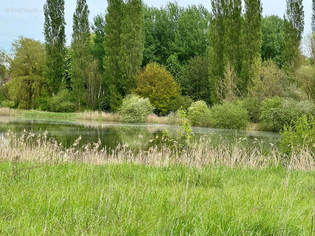 Terrain à BREUIL