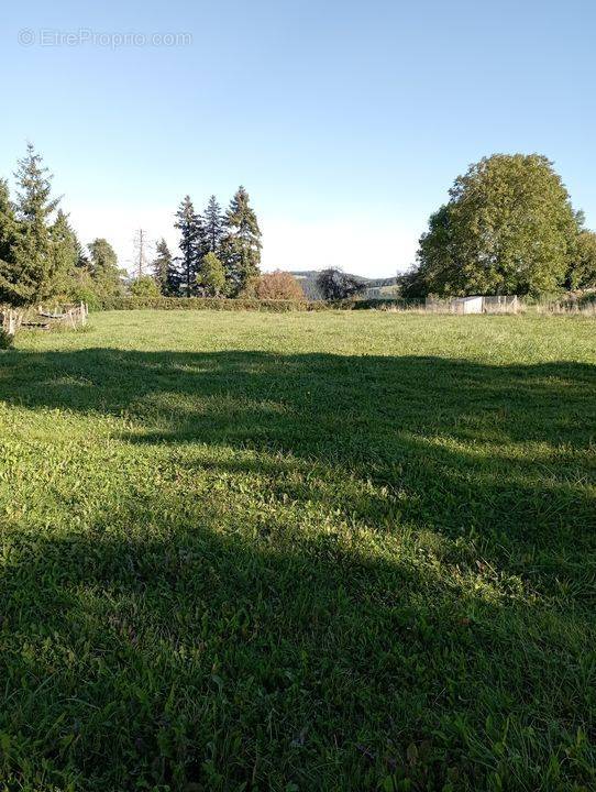 Terrain à FERRIERES-SUR-SICHON