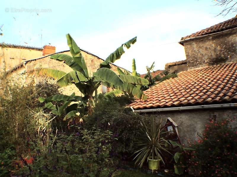 Maison à CHANTONNAY