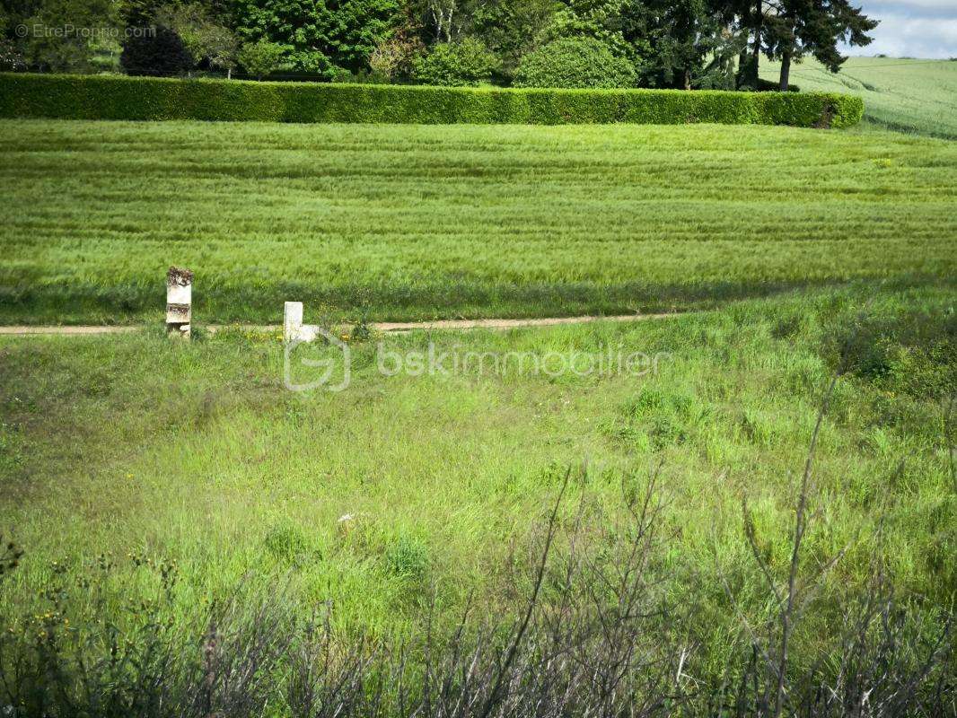 Terrain à MONTOIRE-SUR-LE-LOIR