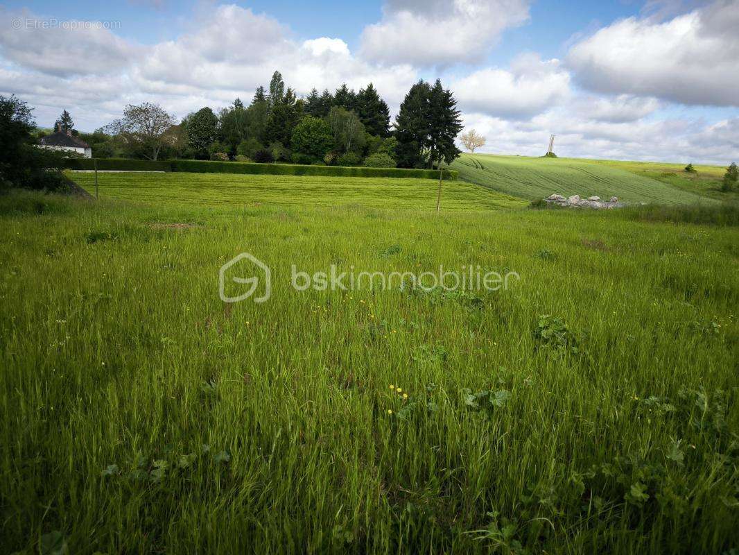 Terrain à MONTOIRE-SUR-LE-LOIR