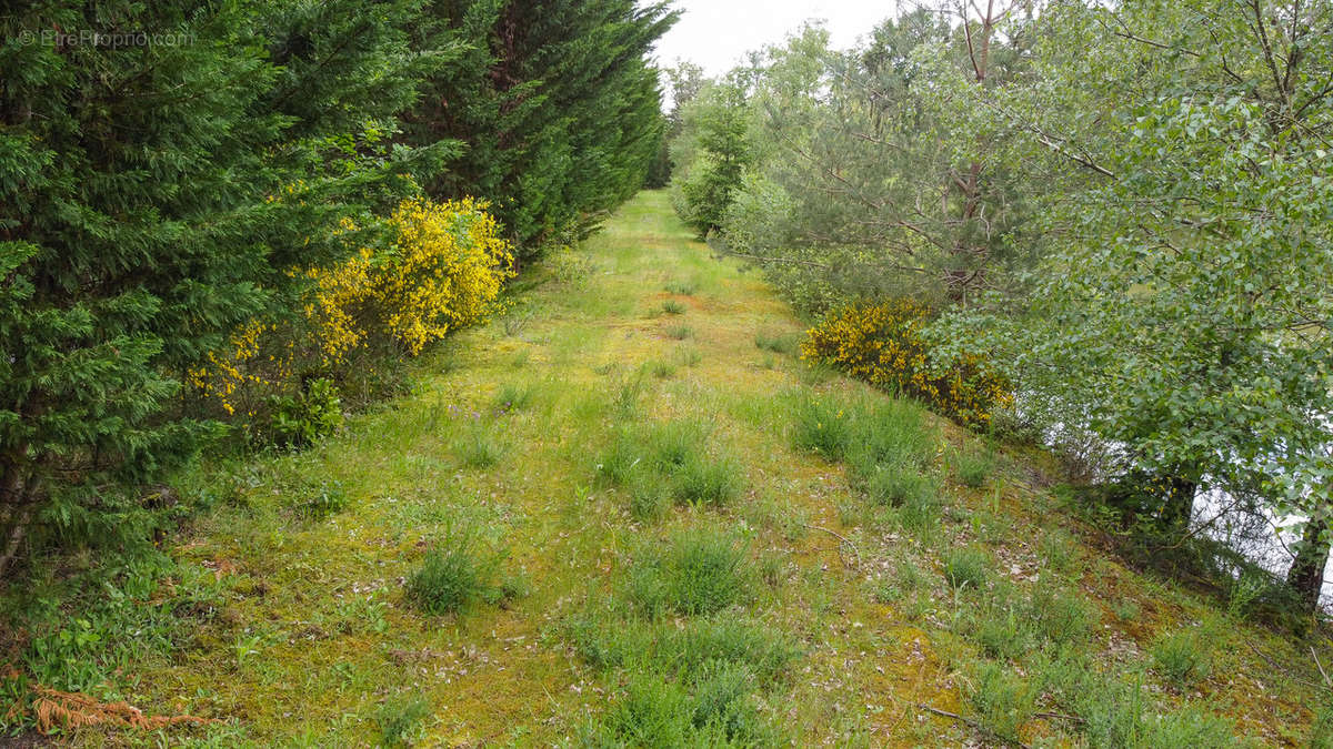 Terrain à LANGON