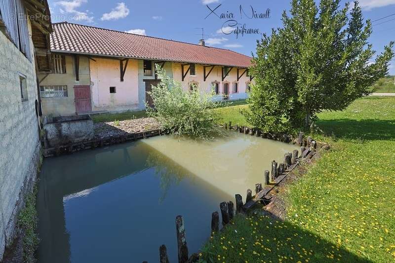 Maison à SAINT-AMOUR