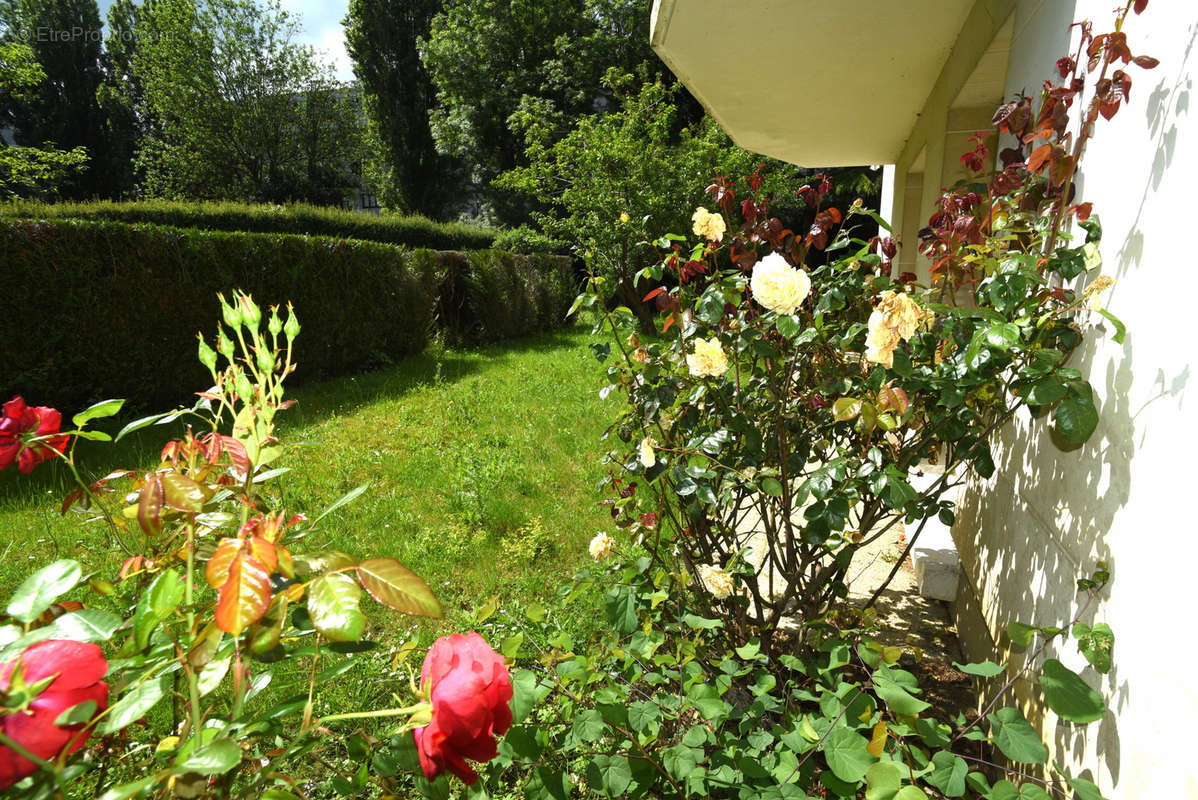 Appartement à LE PLESSIS-ROBINSON