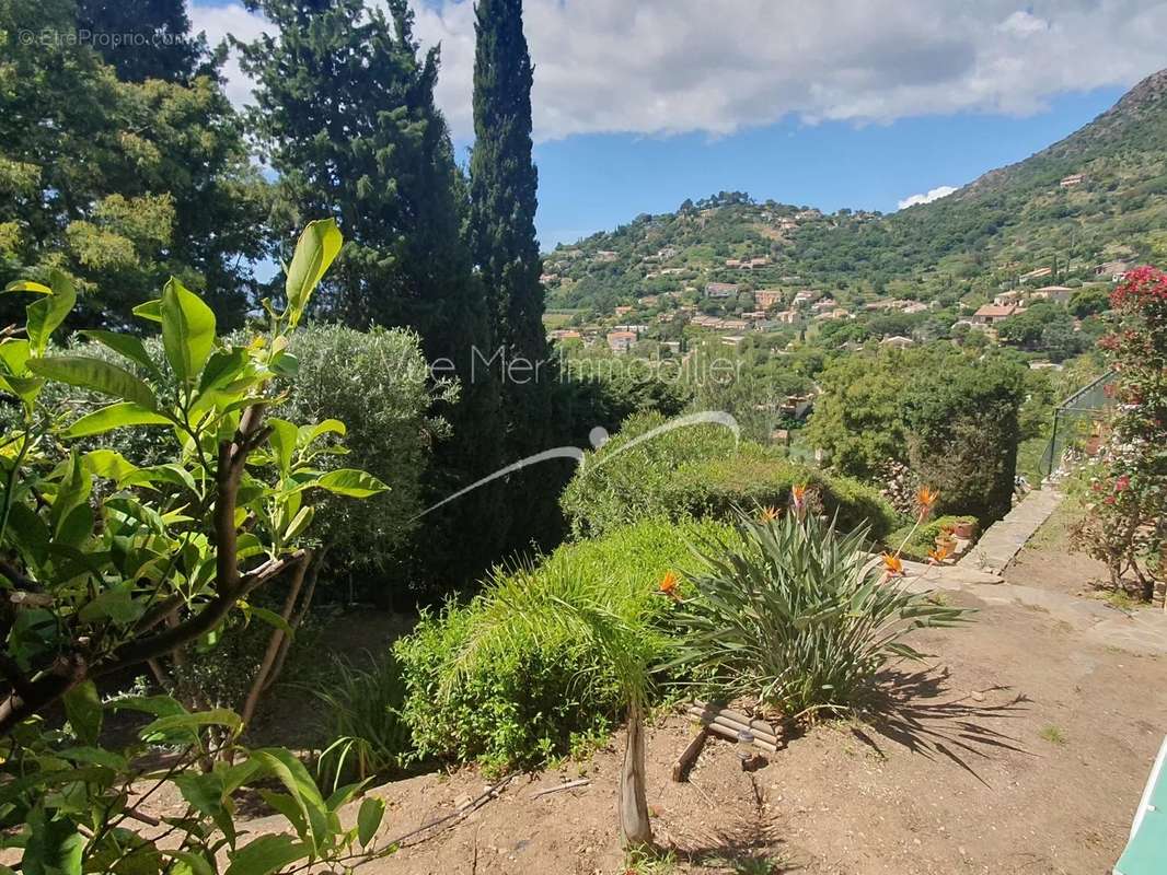 Maison à LE LAVANDOU