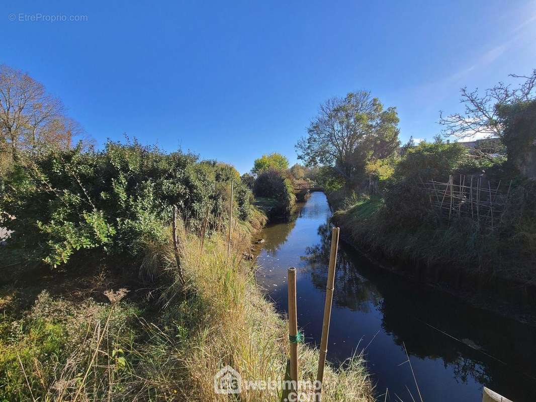 Partie de pêche ou repas champêtre dans le jardin de 262m² - Maison à TALMONT-SAINT-HILAIRE