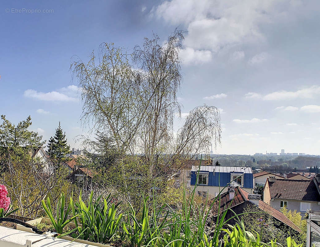 Maison à SURESNES