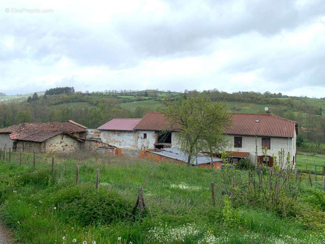 Maison à SAINT-JEAN-SAINT-MAURICE-SUR-LOIRE