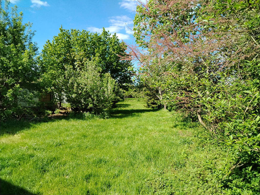 Maison à ANDELOT-EN-MONTAGNE