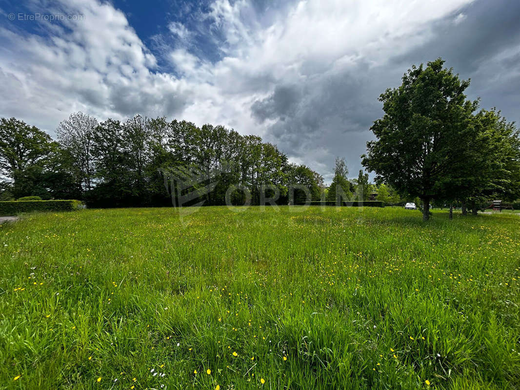 Terrain à MOULINS-SUR-OUANNE