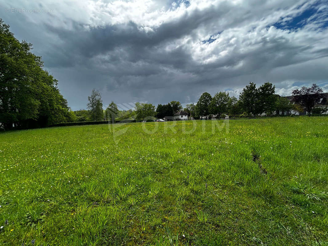 Terrain à MOULINS-SUR-OUANNE