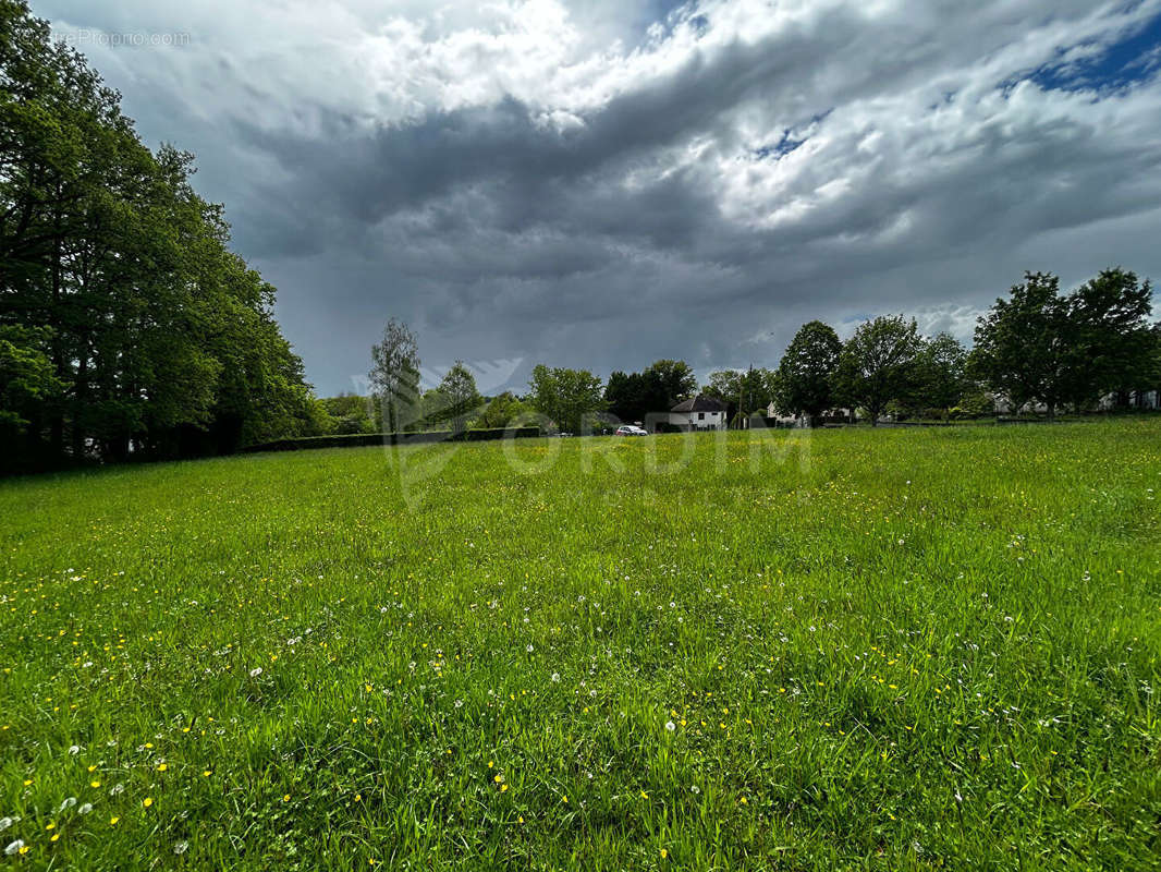 Terrain à MOULINS-SUR-OUANNE