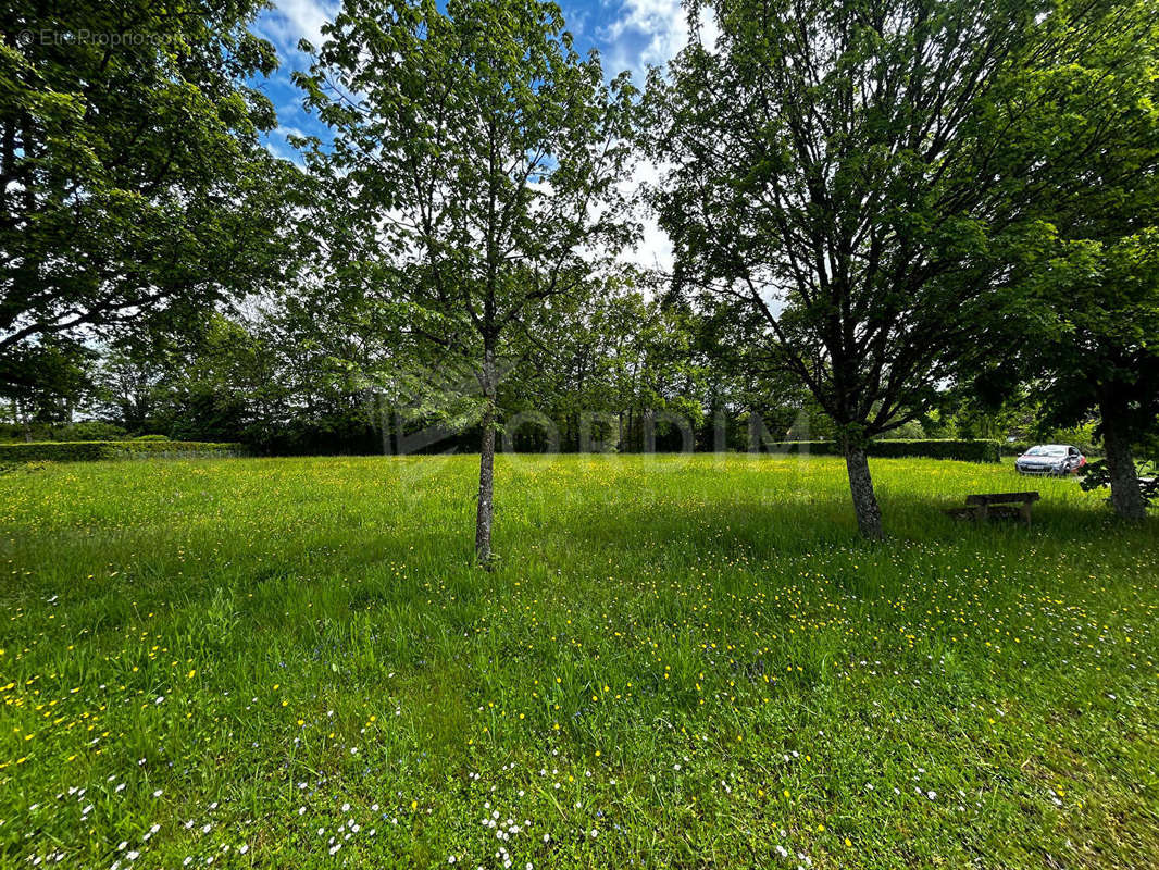 Terrain à MOULINS-SUR-OUANNE