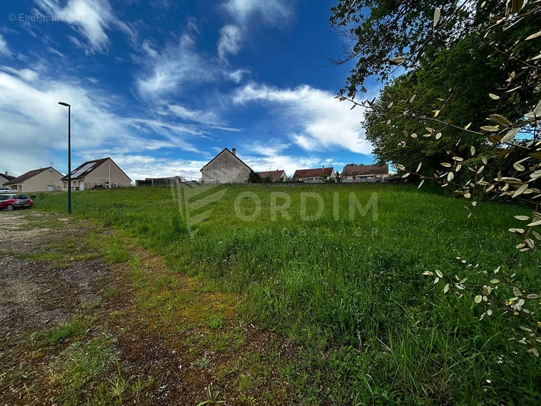 Terrain à MOULINS-SUR-OUANNE