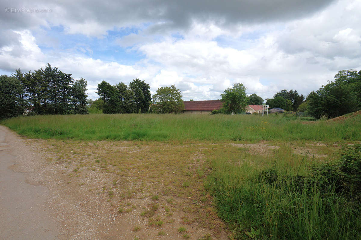 Commerce à AILLANT-SUR-THOLON