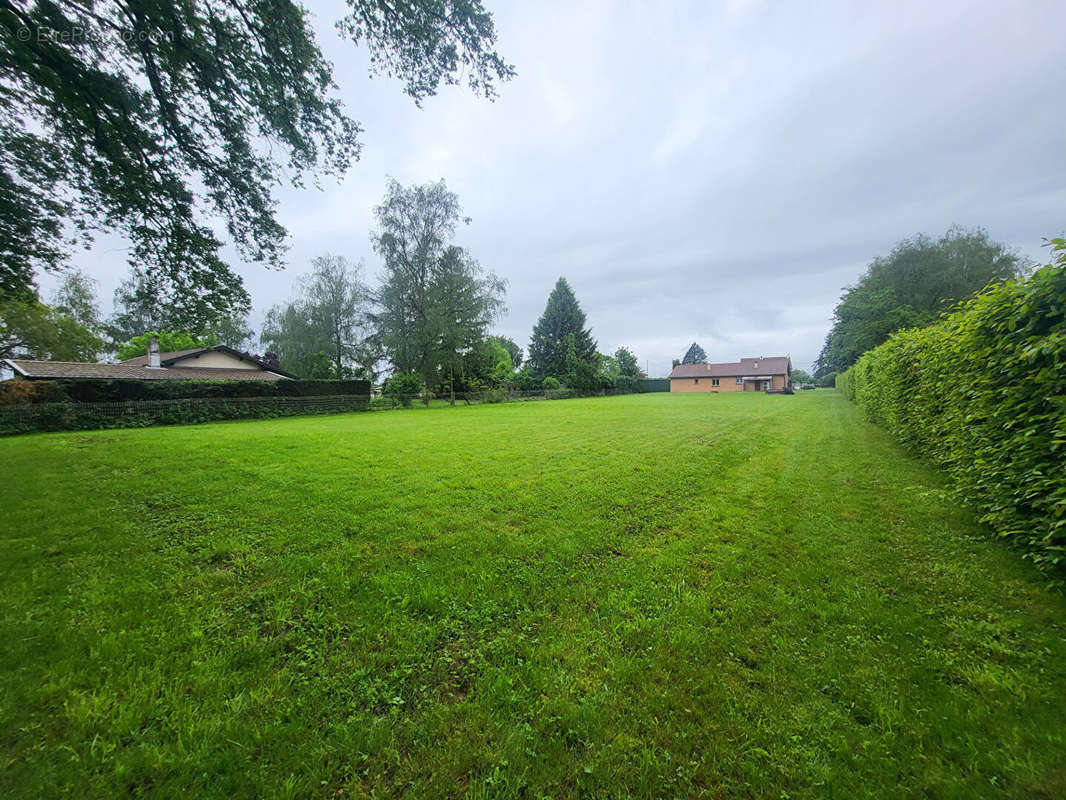 Terrain à DOMPIERRE-SUR-VEYLE