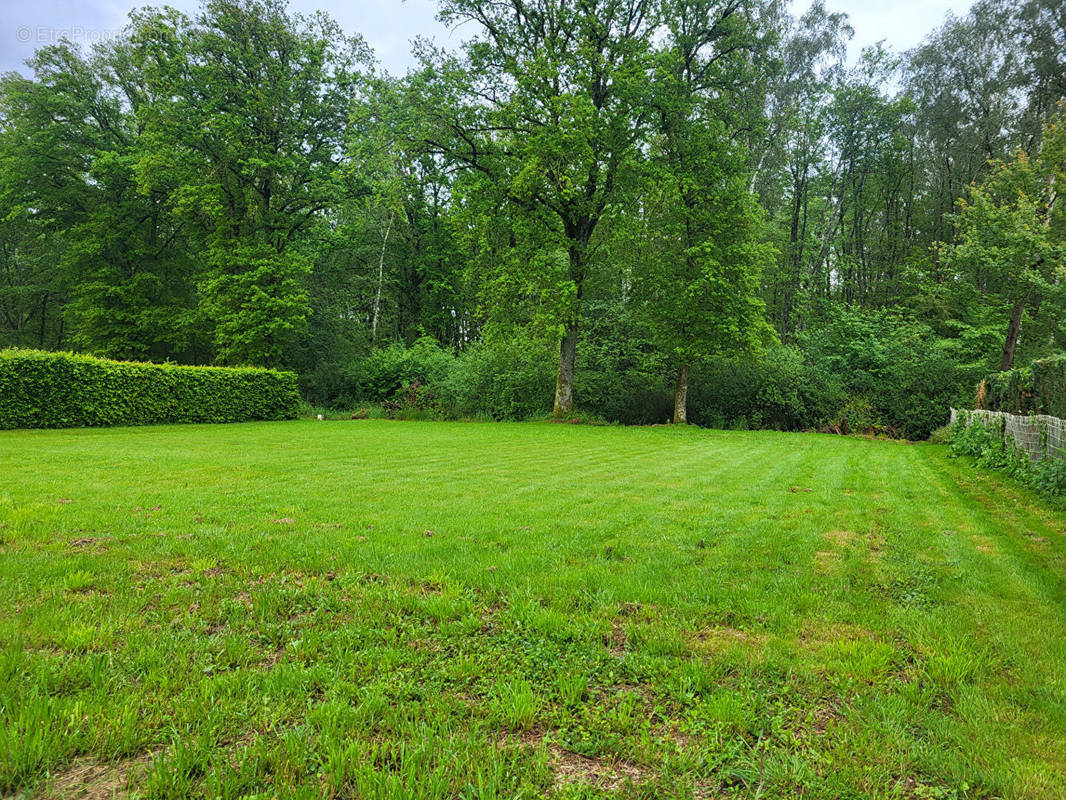 Terrain à DOMPIERRE-SUR-VEYLE