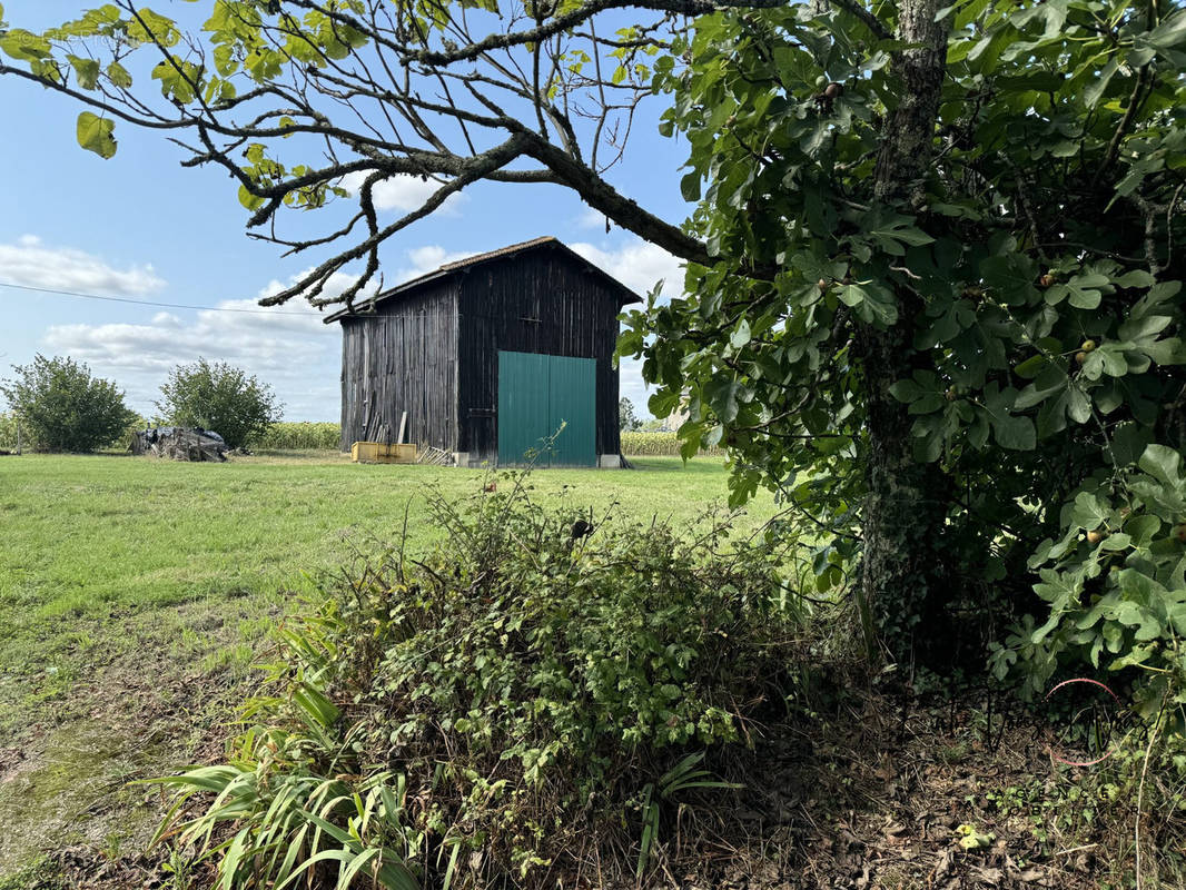 Maison à BAZAS