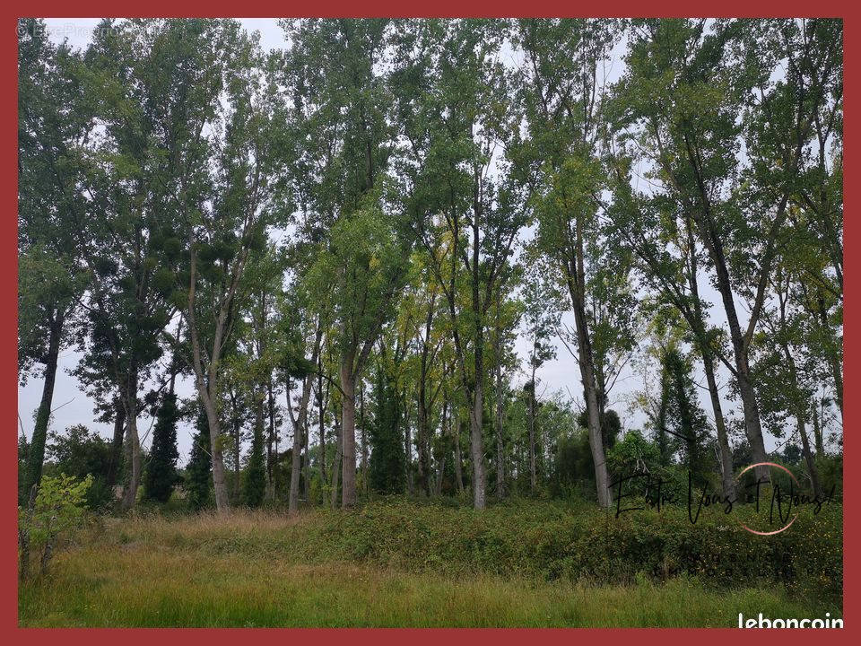 Terrain à BAZAS