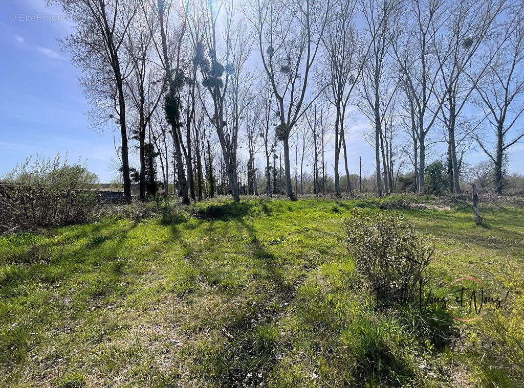 Terrain à BAZAS