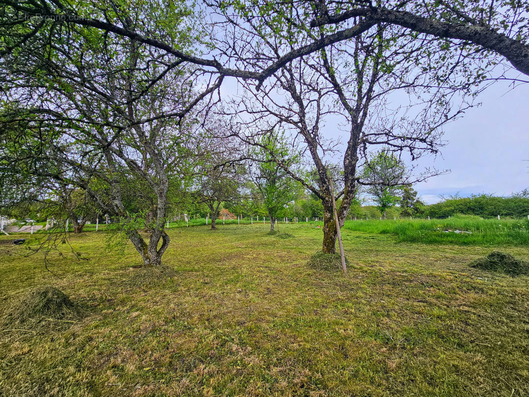 Terrain à MAGNY-DANIGON