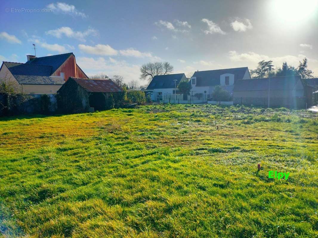 Terrain à LE SEL-DE-BRETAGNE