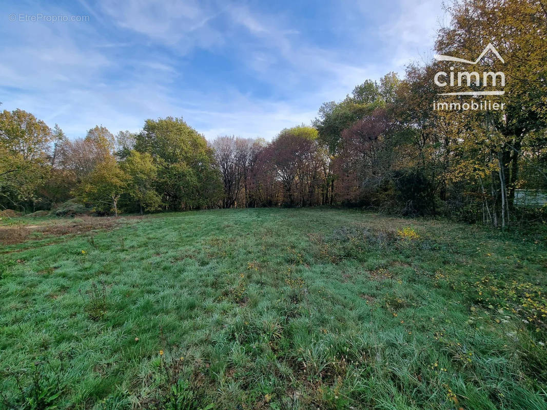 Terrain à DOMME