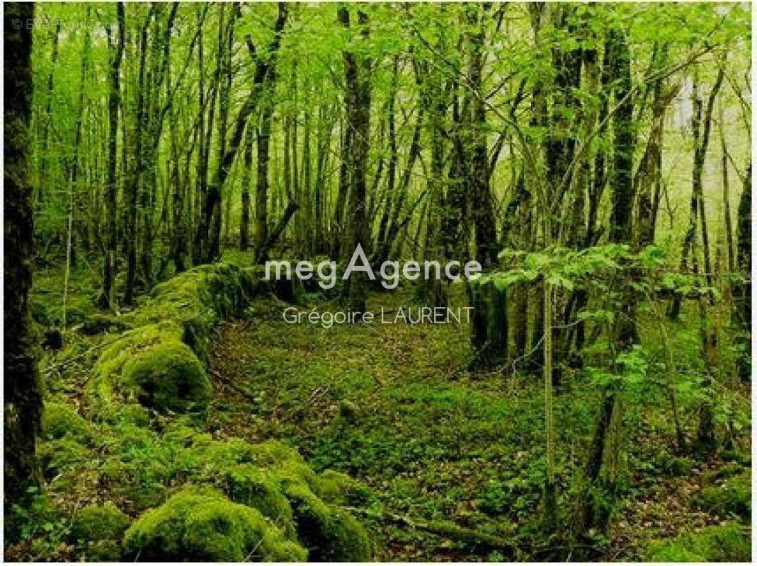 Terrain à LANDEVANT