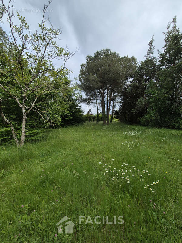 Terrain à MIGNALOUX-BEAUVOIR