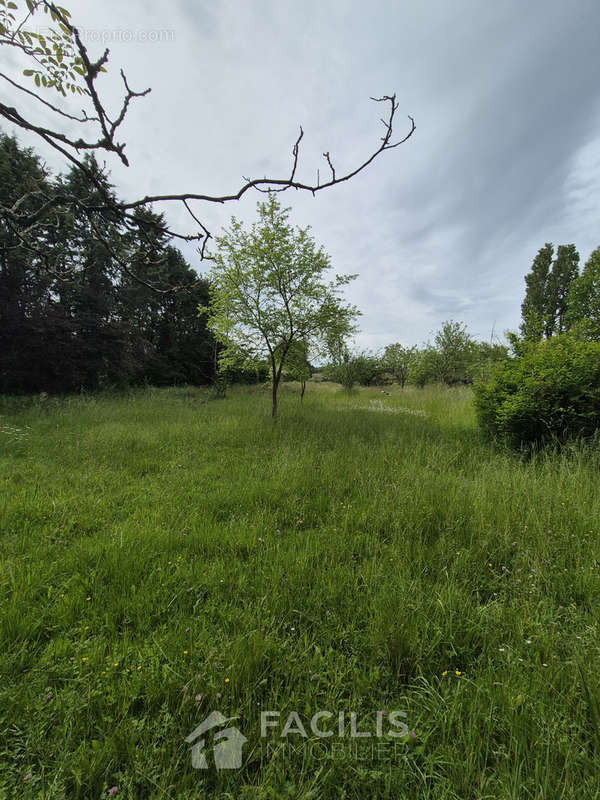 Terrain à MIGNALOUX-BEAUVOIR