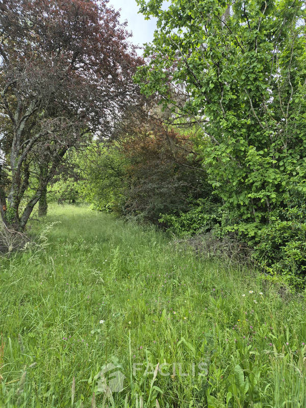 Terrain à MIGNALOUX-BEAUVOIR