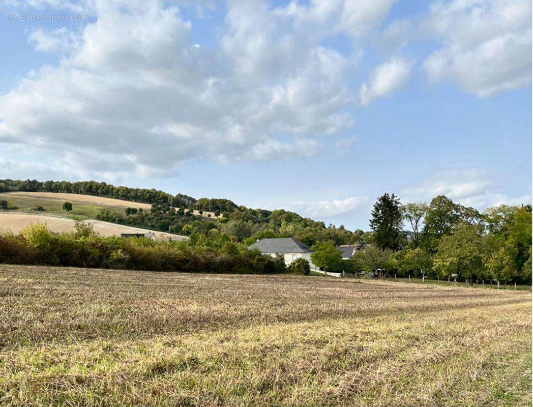 Terrain à SOULIGNY