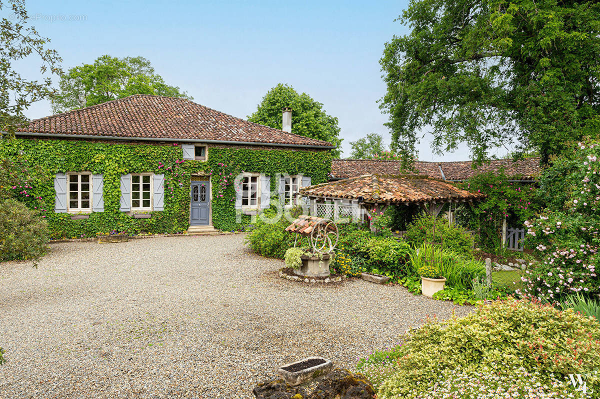 Maison à MONTGAILLARD