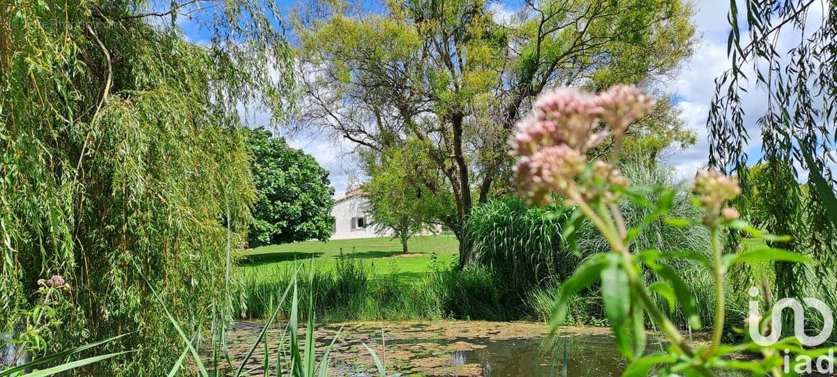 Photo 1 - Maison à MEURSAC