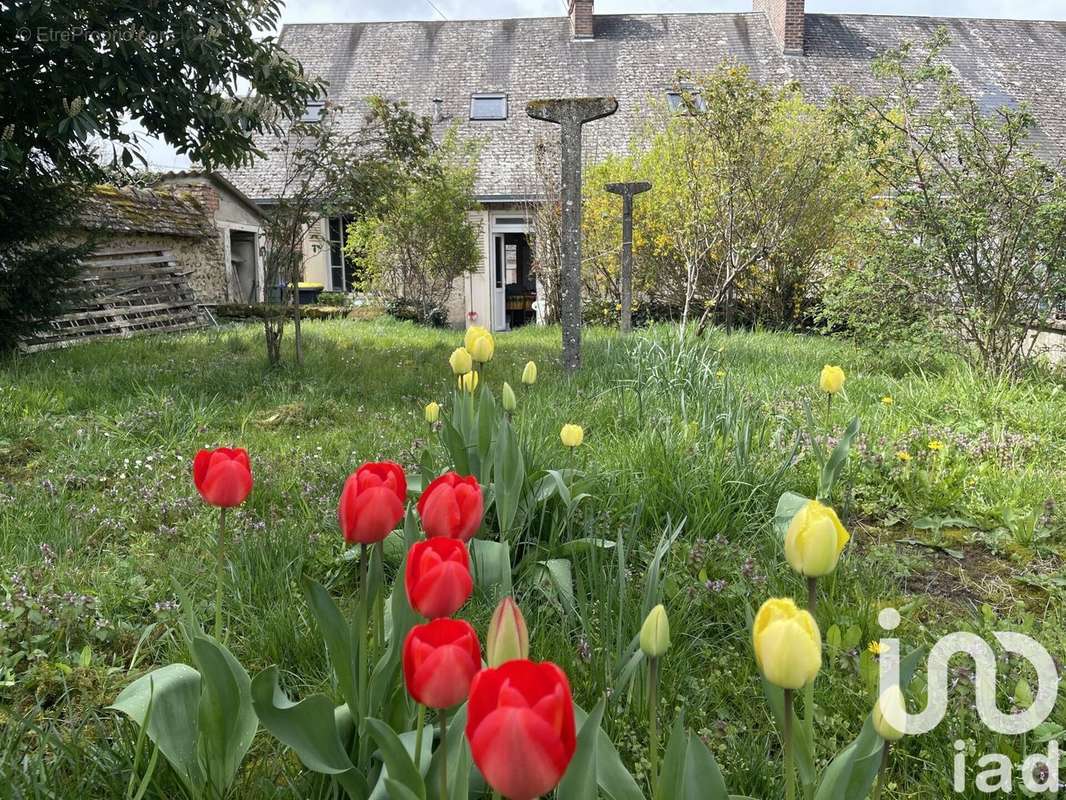 Photo 2 - Maison à ARROU