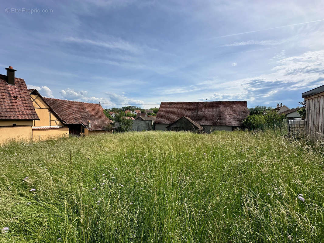 Terrain à BRUEBACH