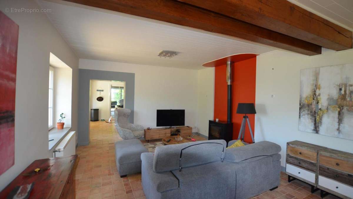 Sejour - Living room 2 - Maison à CASTELNAU-D&#039;AUZAN