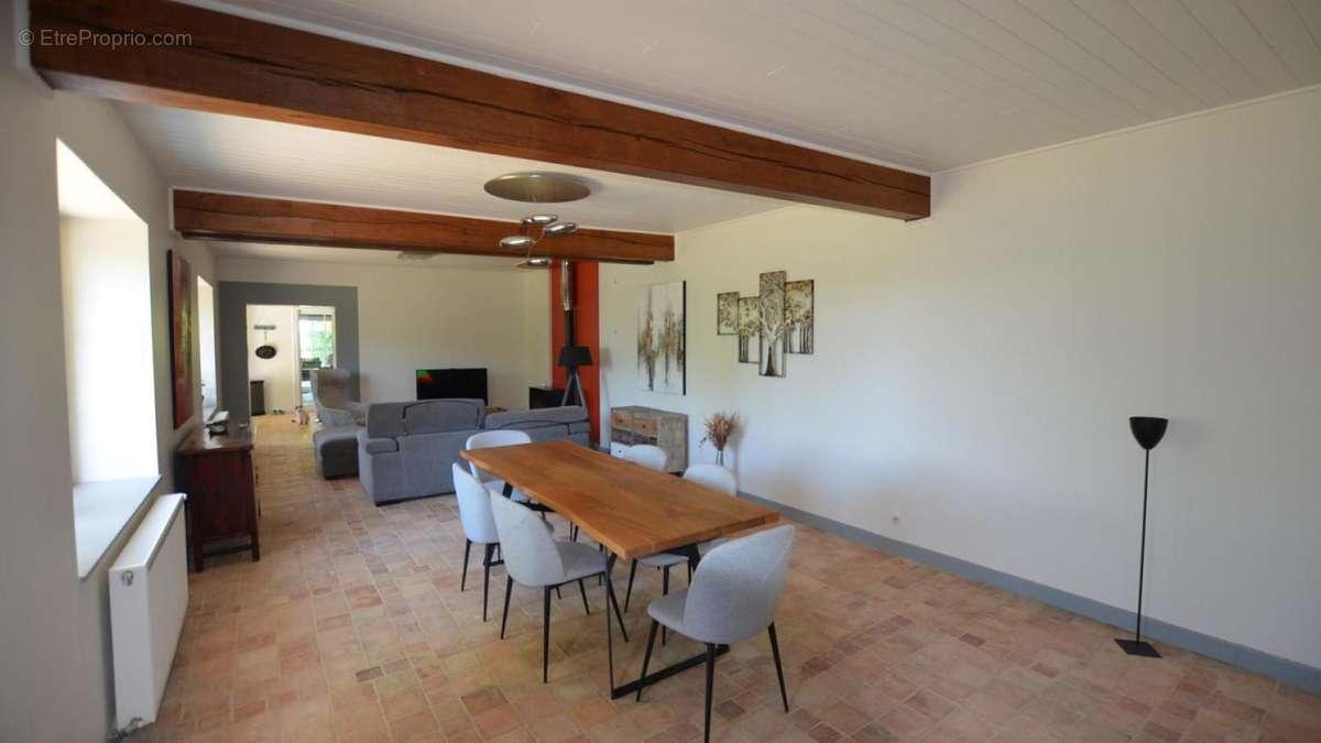 Sejour - Living room 3 - Maison à CASTELNAU-D&#039;AUZAN