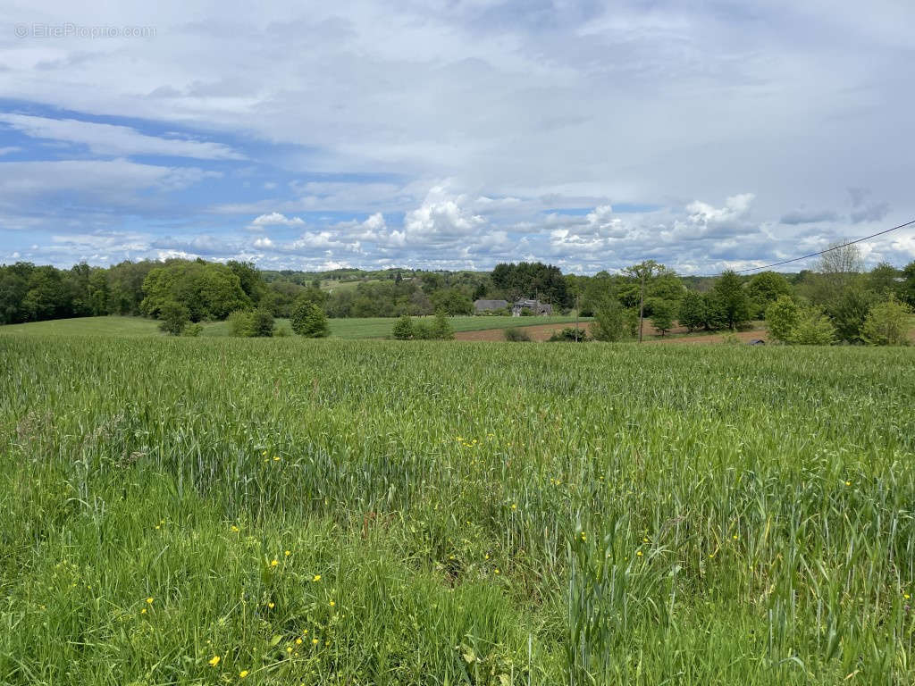 Terrain à VIGNOLS