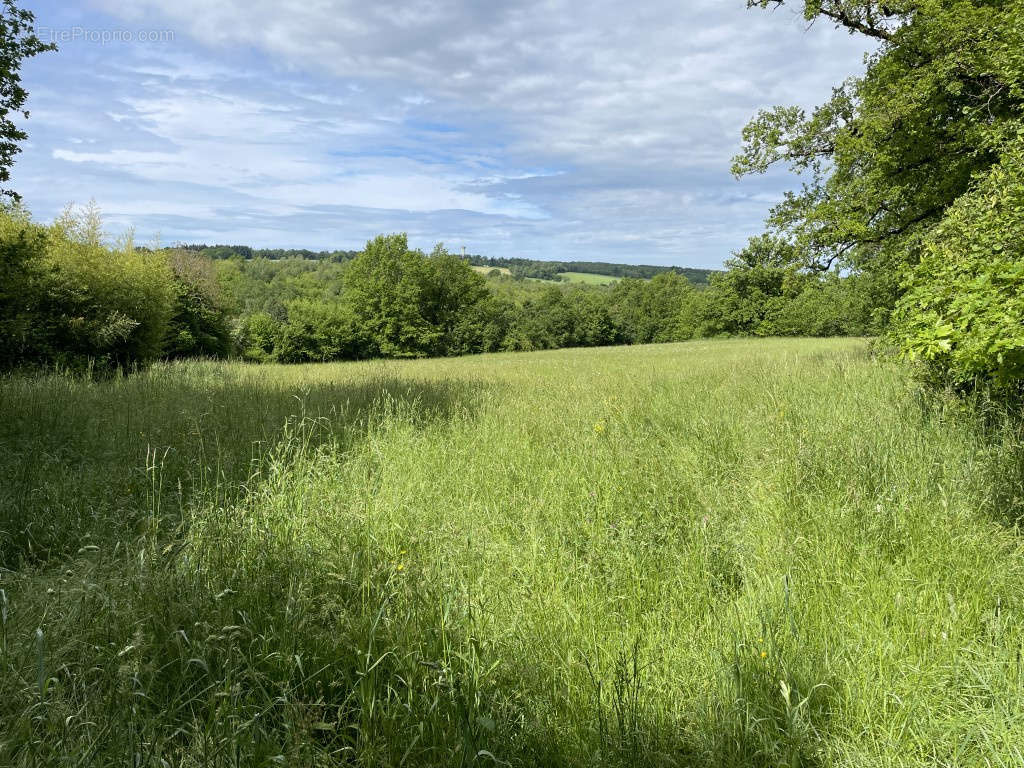 Terrain à VIGNOLS