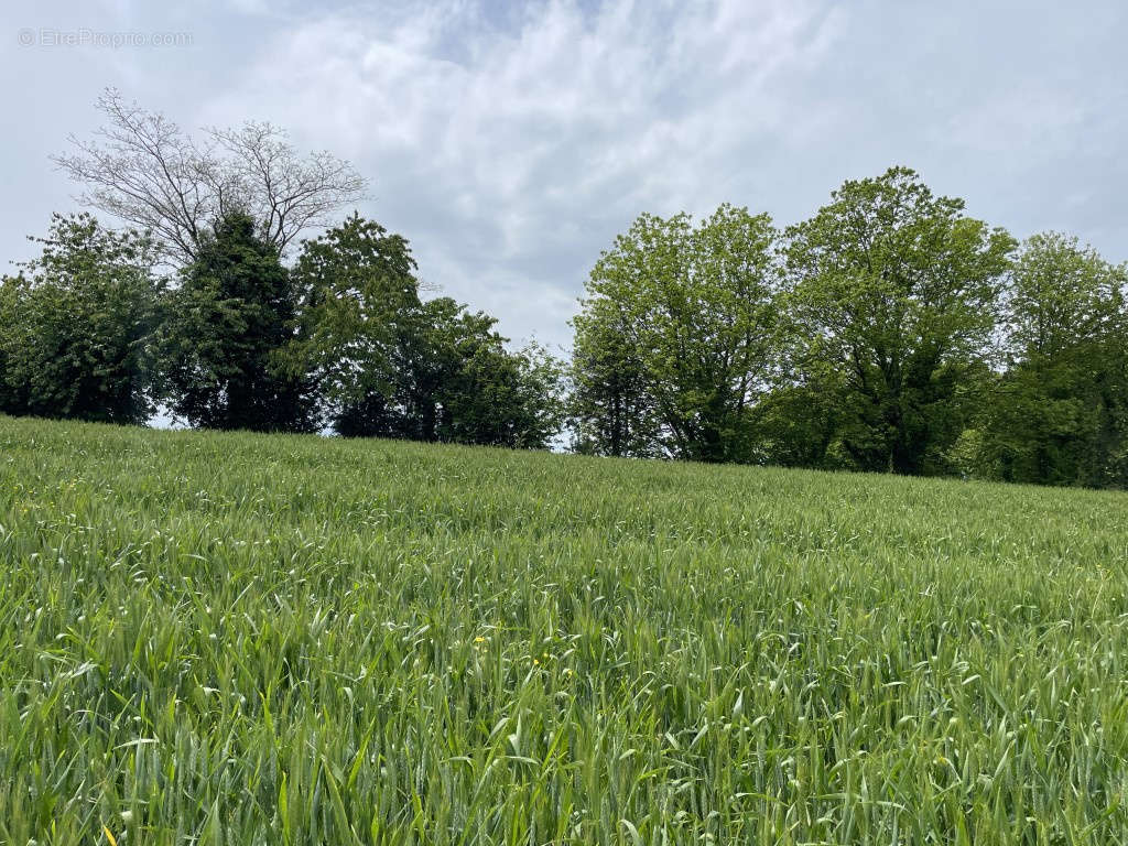 Terrain à VIGNOLS